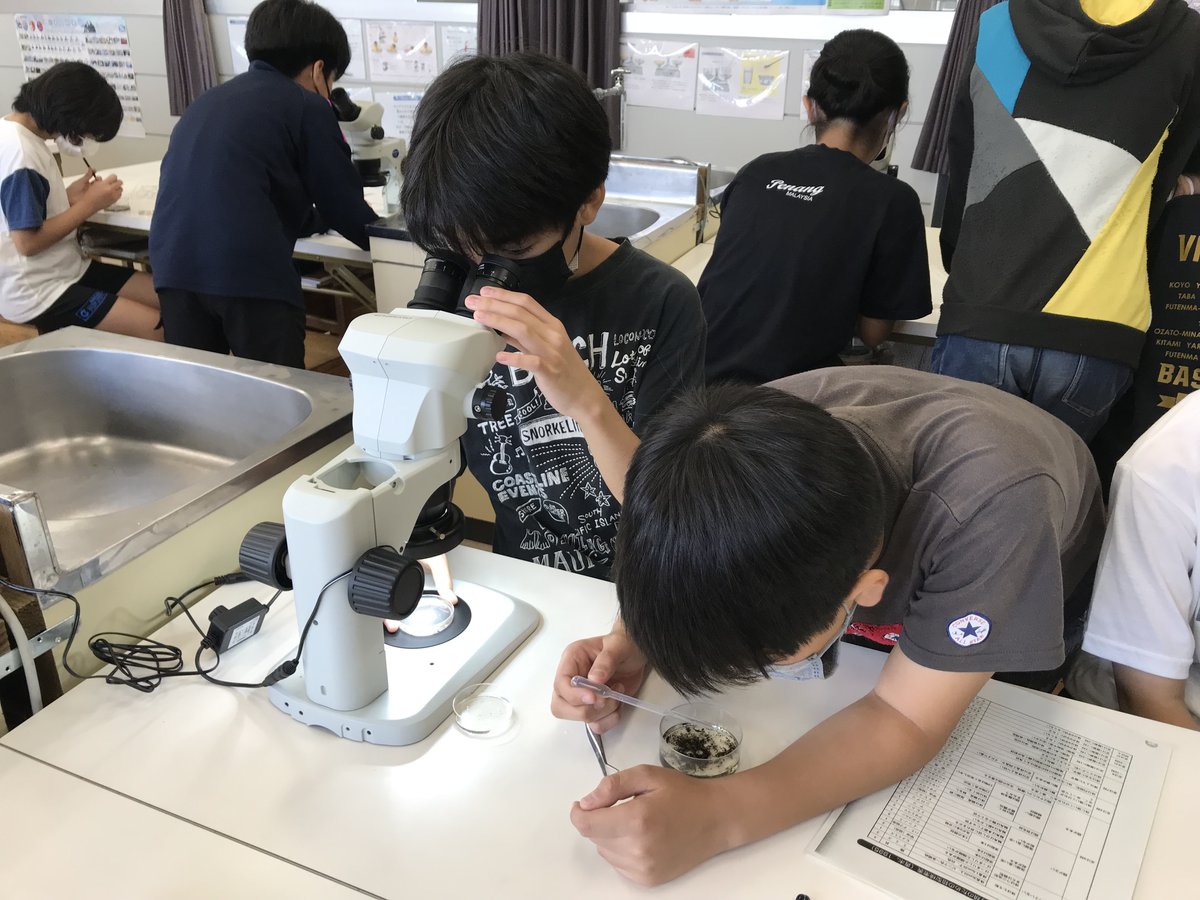 生物研究者の仕事